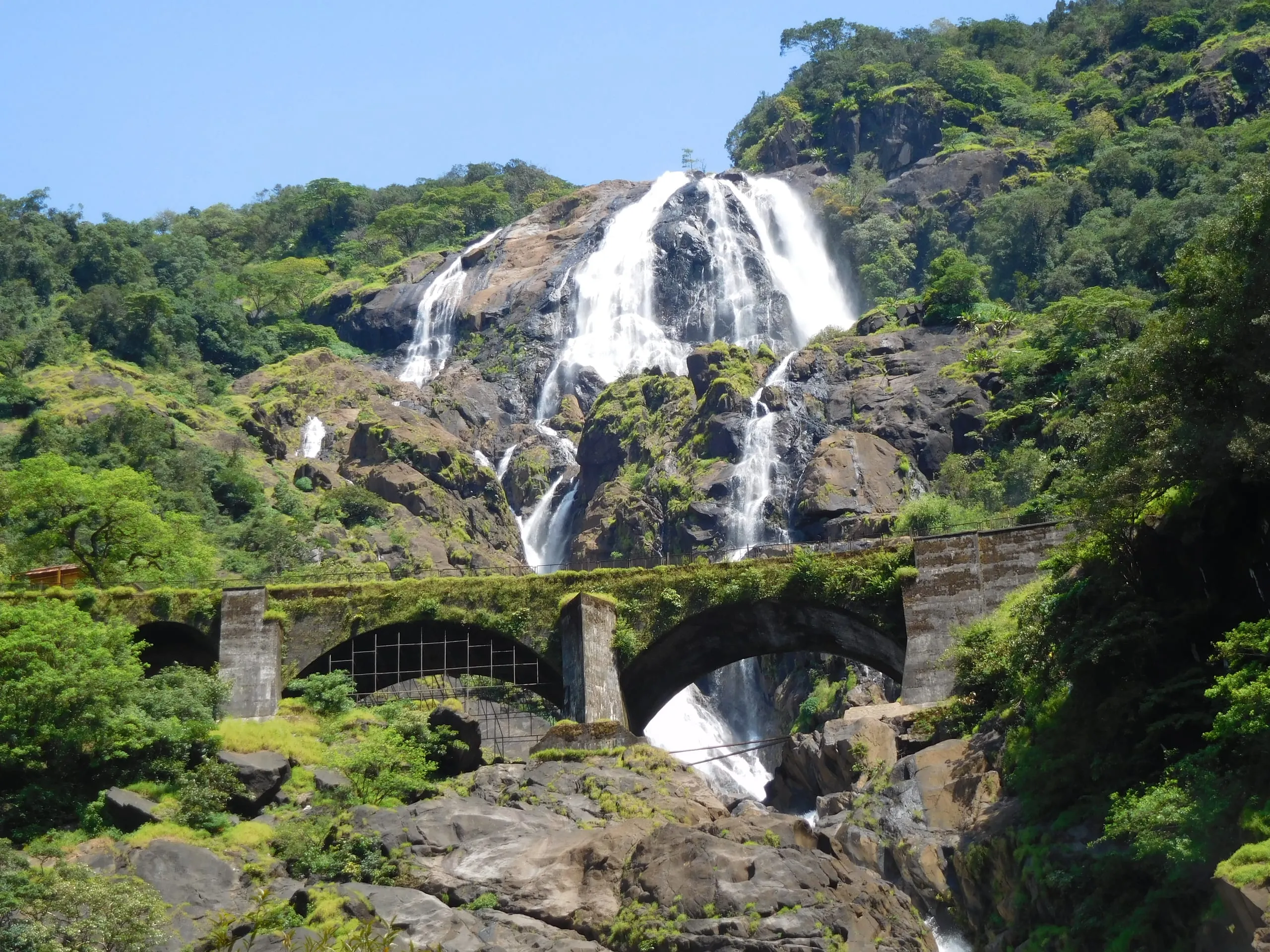 Dudhsagar Waterfall: Goa's Majestic 'Sea of Milk'
