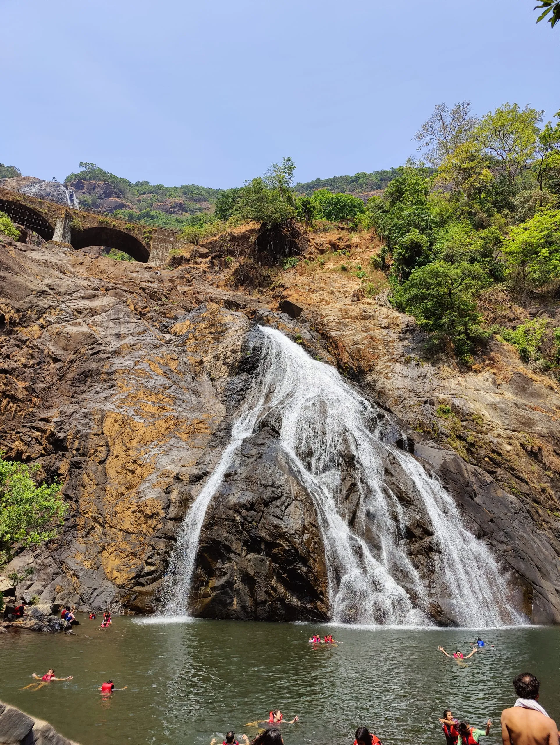 Dudhsagar Waterfall: Goa's Majestic 'Sea of Milk'