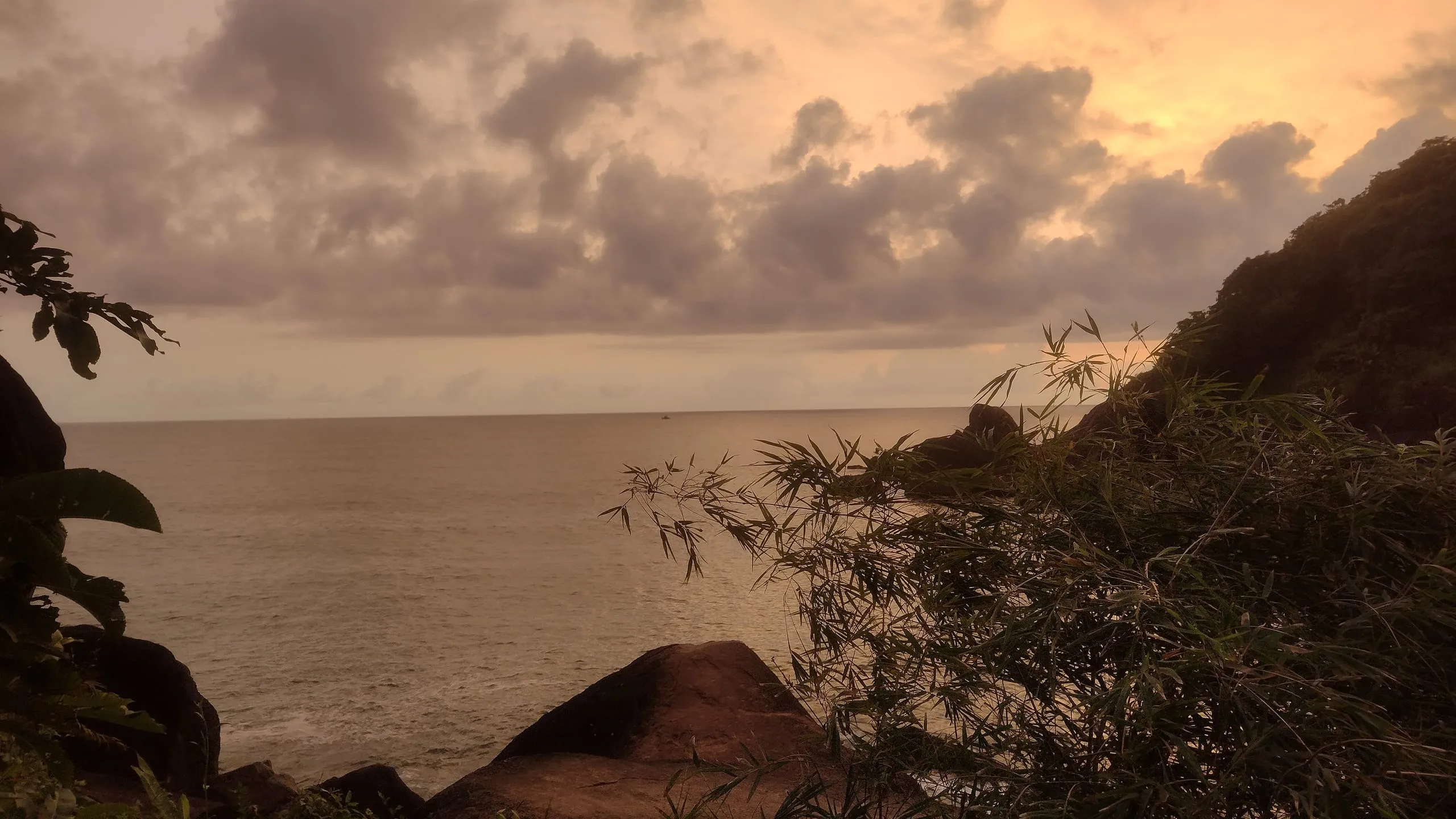 Butterfly Beach, Goa: A Hidden Paradise for Nature Lovers