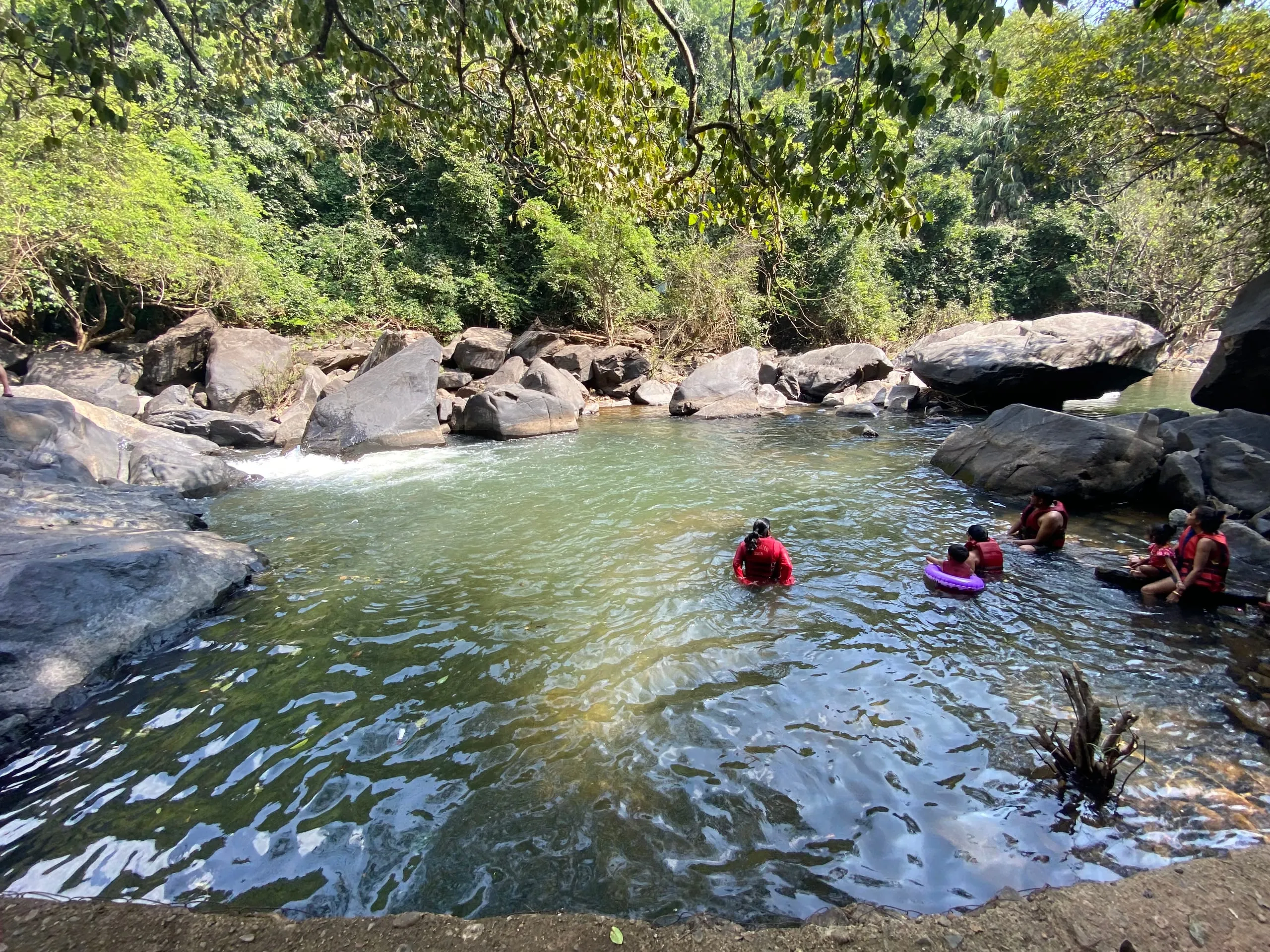 Dudhsagar Waterfall: Goa's Majestic 'Sea of Milk'