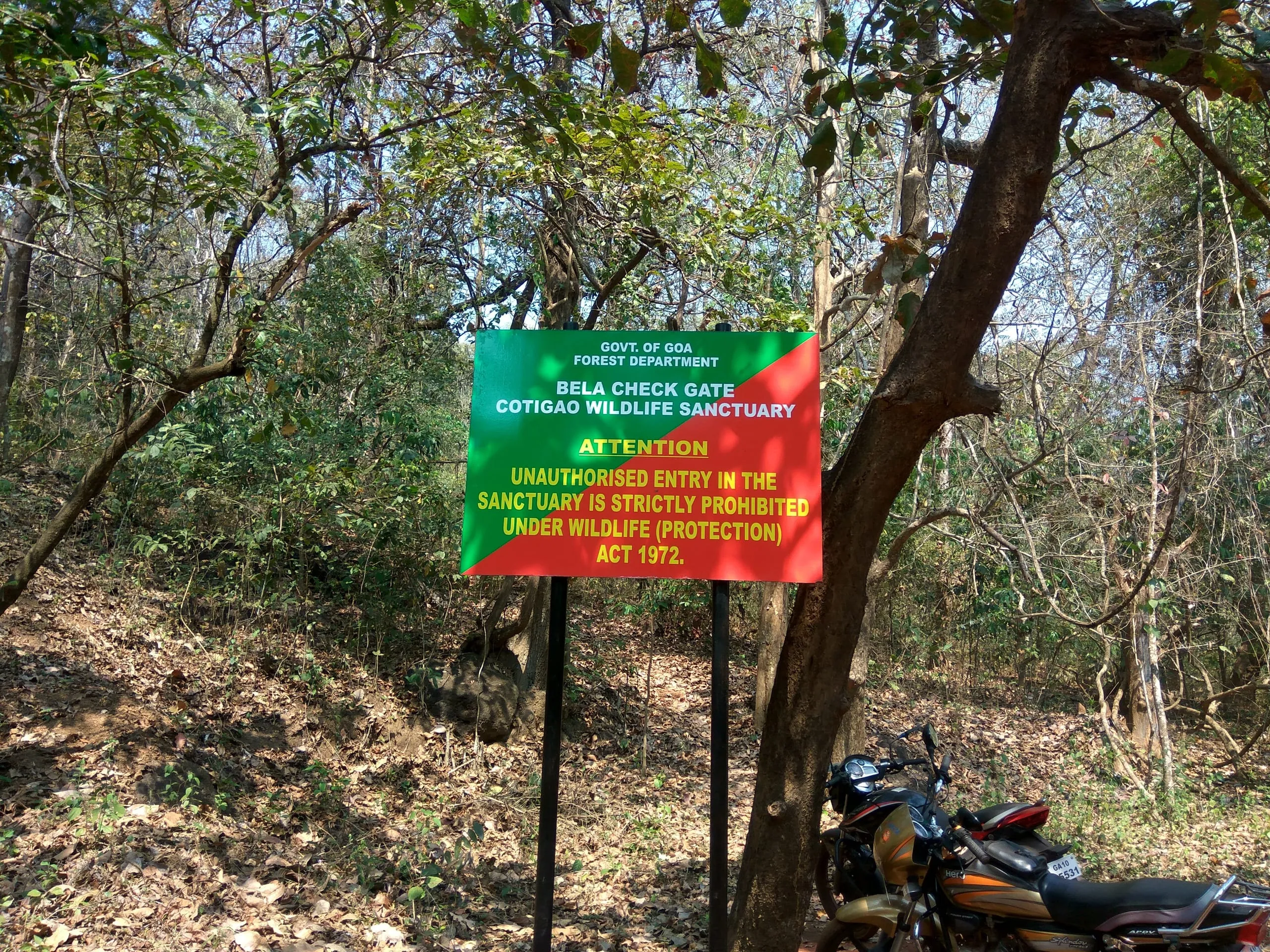 Cotigao Wildlife Sanctuary: Goa's Untamed Jungle Escape