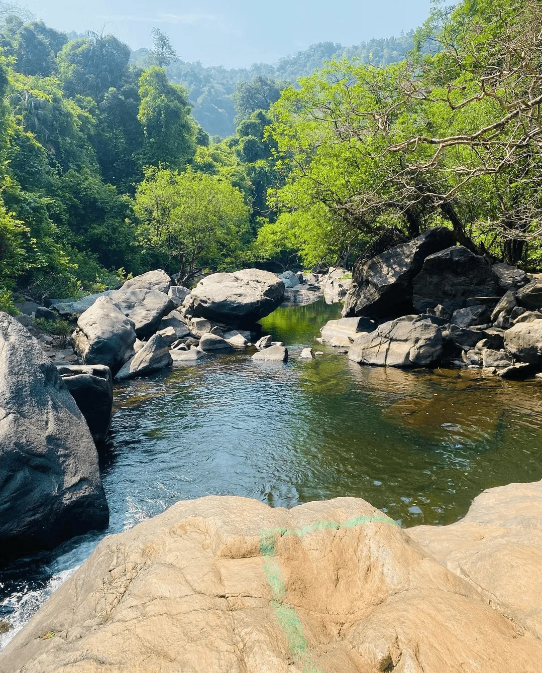 Dudhsagar Waterfall: Goa's Majestic 'Sea of Milk'