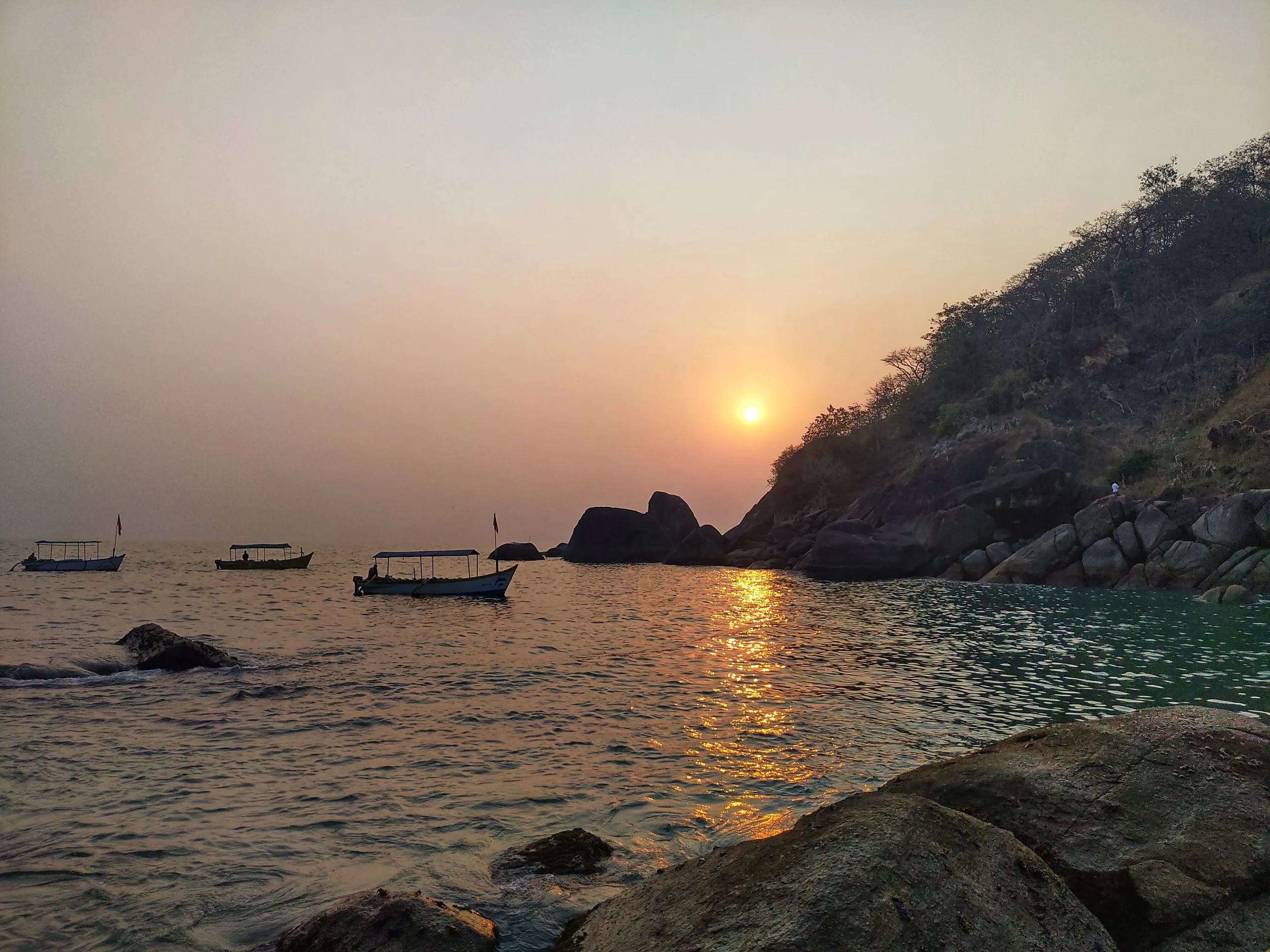 Butterfly Beach, Goa: A Hidden Paradise for Nature Lovers