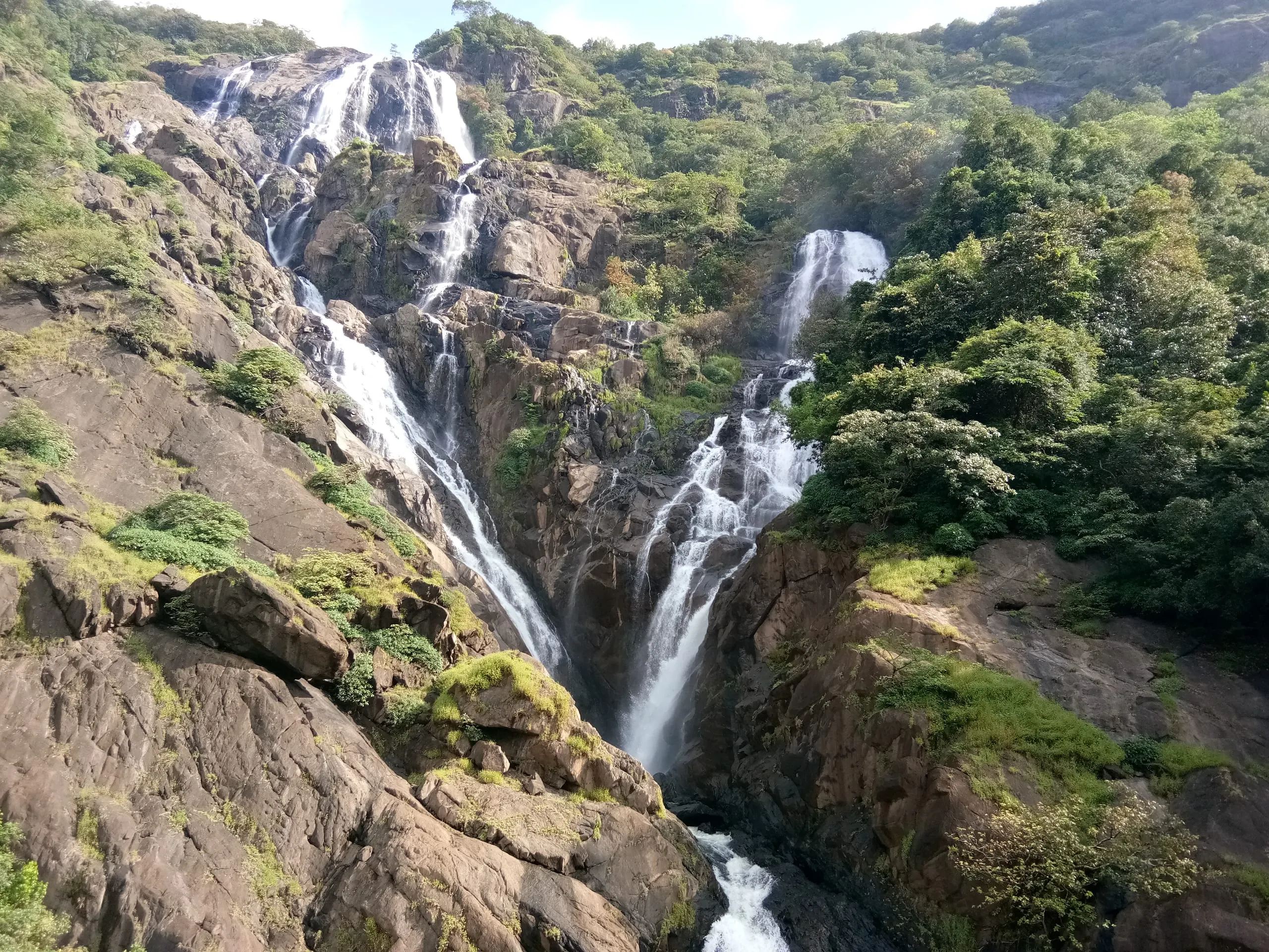 Dudhsagar Waterfall: Goa's Majestic 'Sea of Milk'