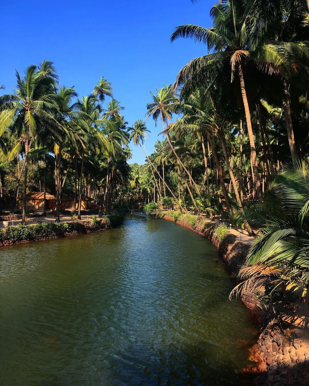Cola Beach, Goa: A Hidden Paradise for Serenity & Adventure